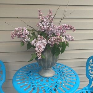 Meet your Posher, Paula